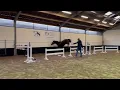 Lagu DHT 22-01-2026: Mochino de Hus, stallion, 2022 by Balou de Reventon