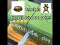 the original Roblox chezburger teaches teddy bear how to cut xan cake