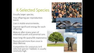 APES Unit 3 Lecture Population