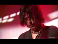 STP Sex Type Thing Chicago 2010 Pro Shot
