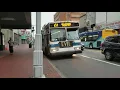 MTA 2005 orion 7 OG on the q54
