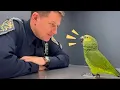 It’s Time for Super Laughs with Parrots and Humans 😂🦜