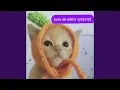 Download Lagu Wiktor