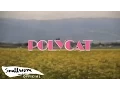 Download Lagu POLYCAT - Chapter 2 เวลาเธอยิ้ม | you had me at hello [Official MV]
