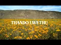 Download Lagu Lowsheen x Master KG - Uthando Lwethu (Feat. Mashudu) [Official]