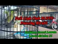 Download Lagu Kecial Kuning Ciak Ciak PLUTO || Naikkan Birahi | Harus di Coba !!!