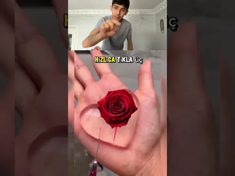 Gizli Sayıyı KİMLER Görebildi BAKALIM⁉️