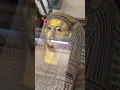 Lagu 👁️ The Mummy That Watches You! #egyptianmuseum #museum #pyramidsofegypt #tutankhamun #egipt