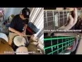 The Suffering - Coheed and Cambria Guitar Drums Bass Cover