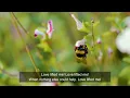 Love Lifted Me - acapella with lyrics