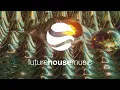 Martin Garrix & Zedd - Follow (Extended Mix)