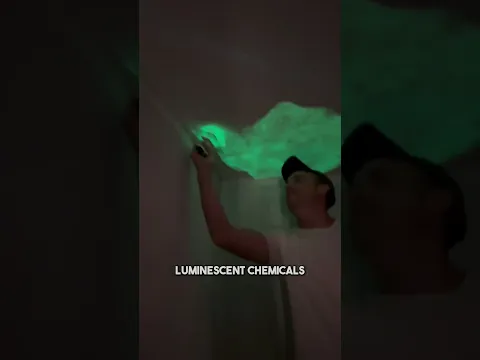 This Paste Turned into a magical room decoration