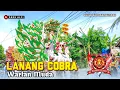 Lagu WARLAN MUDA - LANANG COBRA |SHOW DESA KEDOKANBUNDER