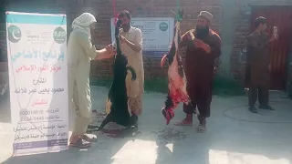 تقرير مشروع الأضاحي مركز النور لعام 1445 