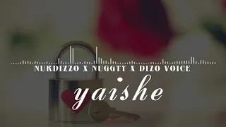 nurdizzo u0026 nuggty u0026 dizo voice yaishe official audio