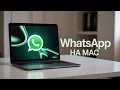 WhatsApp Mac 2026 WhatsApp Mac