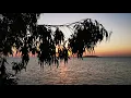 دادة مو راحت علينا. محمد جواد أموري. غروب نهر الفرات طبقة