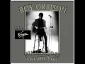 Lagu Roy Orbison - (All I Can Do Is) Dream You (1989)