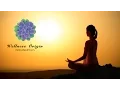 Yoga Indianapolis Classes at Wellness Origin Indy