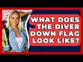 What Does The Diver Down Flag Look Like - Boat Life Masters