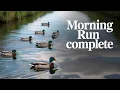 Download Lagu How Far Can You Run In 16 Minutes?