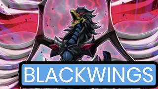 YuGiOh Darkwing Blast Brings MUCH NEEDED s Support to Blackwings - YuGiOh s Smallest Archetype