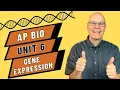 Crack the Code Mastering Gene Expression in AP Bio Unit 6