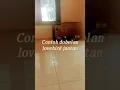 Lagu Contoh dobelan lovebird jantan gacor