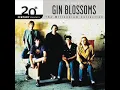 Download Lagu Gin Blossoms - Til I Hear it From You