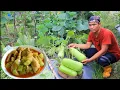 Download Lagu Panen Labu air di kebunnya Pak Bos dimasak santan pedas dan goreng jala bia