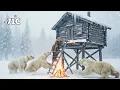 Lagu Surviving -71°C: Trapped By Polar Bears | Fighting The Arctic’s Deadliest Night