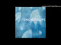 Sven Wunder ~ Snowdrops ~ Piano Piano Records ~ 2021
