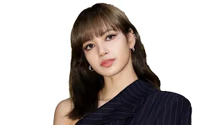 LISA Lifestyle Visualizer 