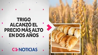 ¿LAS EMPANADAS SUBIRÁN? Alza del trigo alcanza su precio más elevado en dos años - CHV Noticias