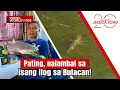Download Lagu Pating, nalambat sa isang ilog sa Bulacan! | Kapuso Mo, Jessica Soho