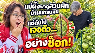 แม่ผึ้งพาดูสวนผักบ้านแกรนมัมแต่ดันไปเจอตัว…อย่างช็อก!