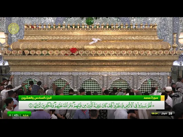 #فضائية_العتبة_العلوية_المقدسة #IMAM_ALI_TV