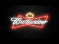 BUDWEISER NEON SIGN BACKGROUND LOOP 2 HOURS WITH MUSIC