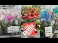 HOME DEPOT NEW PLANTS ARRIVALS FOR SUMMER AND HOW TO MAKE YOUR GARDEN BEAUTIFUL ORCHID SALE