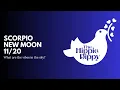 New Moon in Scorpio November 20 2025 Metamorphosis All Zodiac Signs