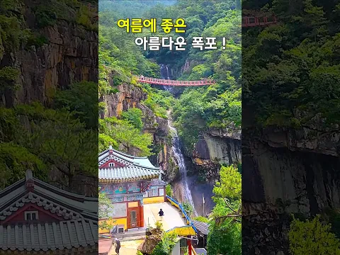 아름다운 폭포 여행 #국내여행 #여행 #한국여행 #폭포