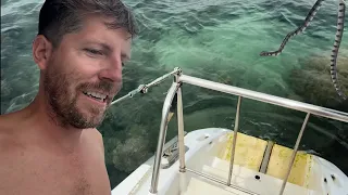 Venomous snake onboard! We hit a reef exploring the Andaman Islands & Scuba on a giant shipwreck