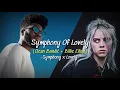 Download Lagu Symphony Of Lovely Clean Bandit - X Billie Eilish, Khalid  MASHUP | AndikaHonda18 -Lyrics-