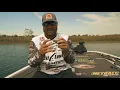 Why We Love the Painted Trophy Series Popper Scum Frog