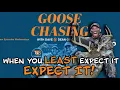 WHEN YOU LEAST EXPECT IT EXPECT IT Goose Chasing Ep 14