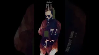 ســامع كــلاب بتــعوي هــوهــوا فــاضيه 