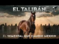 Allens Cash The Taliban The Best Racehorse in Mexico - Del Cerro Soy