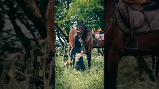 ROZAVIN ПЕРЕЛАЗ Українська народна пісня Official Audio ПРЕМ ЄРА 