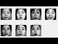 Facial Expression Recognition using Bag of Visual Words and SVM