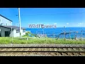Download Lagu Nao - Wildflowers